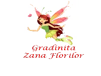 Fotografie de la Nursery Fairy Flowers